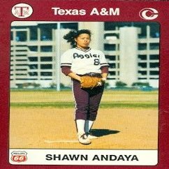 Autograph Warehouse Sharon Andaya Trading Card (Texas A&M) 1991 Collegiate Collection No.45 Softball
