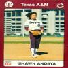 Autograph Warehouse Sharon Andaya Trading Card (Texas A&M) 1991 Collegiate Collection No.45 Softball view 1