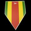 TAG Strike Zone Home Plate, Colored for Pitchers, Catchers and Umpires, Baseball Softball Training Plates, 1 Count view 3