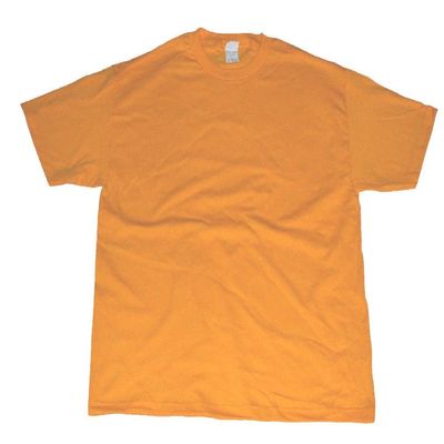 Alstyle AAA Men's Solid Plain Tshirts T Shirt Medium (Gold Yellow)