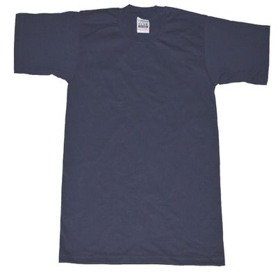 AAA Alstyle Men's Solid Plain Tshirt T Shirts Large (Navy Blue)