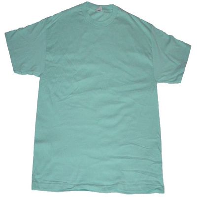 AAA Alstyle Men's Solid Plain Tshirt T Shirts Large (Celadon)