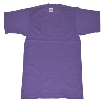 Alstyle AAA Men's Solid Plain Tshirt T Shirts Large (Purple)