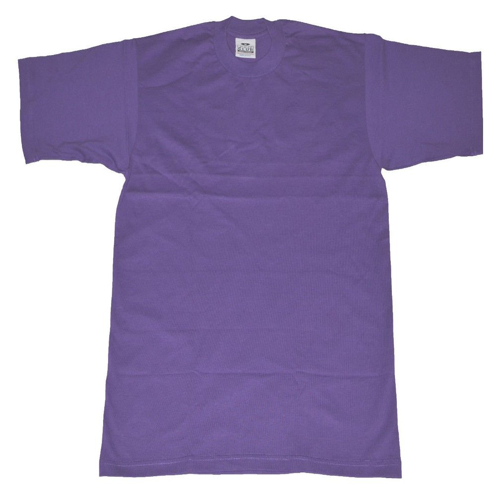 Alstyle AAA Men's Solid Plain Tshirt T Shirts Large (Purple)