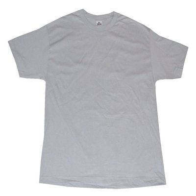 Alstyle AAA Men's Solid Plain Tshirt T Shirts Large (Silver)