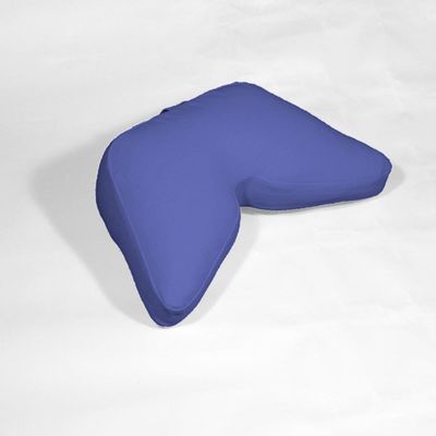 Bubbletastic Cosmic Cushion Meditation Pillow - Regular Size: 22" x 15" x 6.5" (Iris Blue)