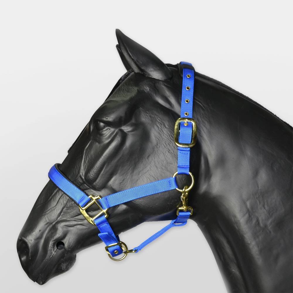 Hy Deluxe Padded Head Collar - Bright Green - Full