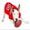 Pets First NCAA College Utah Utes Mesh Jersey for DOGS & CATS, Small.Licensed Dog Jersey with your Favorite Football/Basketball College Team view 3