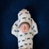 L'ovedbaby Unisex-Baby Newborn Organic Cute Cap, Slate Wagon, 6-12 Months view 2