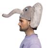 Boland HOED OLIFANT - VARIOUS view 4
