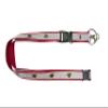 Aminco NHL Minnesota Wild Sparkle Lanyard view 1