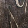 Hareline Fly Tying Micro Rabbit Strips - Dark Brown view 1