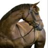 Kerbl Classic 324912 Snaffle Bridle Leather Thoroughbred Brown view 2