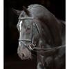 Kerbl Classic 324912 Snaffle Bridle Leather Thoroughbred Brown view 4