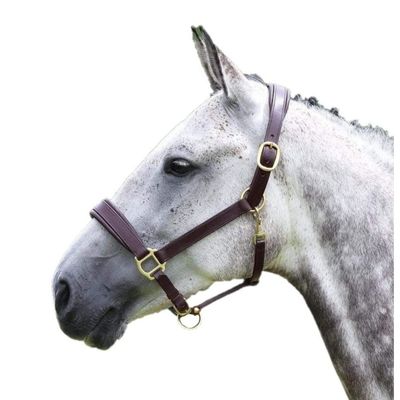 Shires Equestrian Blenheim Leather Horse Travel Halter (X-Full, Havana)