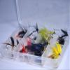 Outdoor Planet Clear 8 Compartment Pocketed Fly Box + Assorted Fly Fishing Lure Pack of 24 Fly view 3