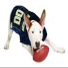 Pets First NCAA College Pittsburgh Panthers Mesh Jersey for DOGS & CATS, Small.Licensed Dog Jersey with your Favorite Football/Basketball College Team view 2