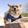 Pets First NCAA College Mississippi Ole Miss Rebels Mesh Jersey for DOGS & CATS, Large. Licensed Dog Jersey with your Favorite Football/Basketball College Team view 4