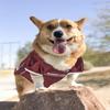 Pets First NCAA College Mississippi State Bulldogs Mesh Jersey for DOGS & CATS, Medium. Licensed Dog Jersey with your Favorite Football/Basketball College Team view 4