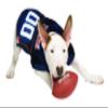 Pets First NCAA College Auburn Tigers Mesh Jersey for DOGS & CATS, Small.Licensed Dog Jersey with your Favorite Football/Basketball College Team view 4
