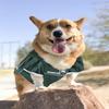 Pets First NCAA College Michigan State Spartans Mesh Jersey for DOGS & CATS, X-Small.Licensed Dog Jersey with your Favorite Football/Basketball College Team view 4