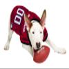 Pets First NCAA College Arkansas Razorbacks Mesh Jersey for DOGS & CATS, Medium. Licensed Dog Jersey with your Favorite Football/Basketball College Team view 4