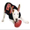 Pets First NCAA College Oregon State Beavers Mesh Jersey for DOGS & CATS, Medium. Licensed Dog Jersey with your Favorite Football/Basketball College Team view 2