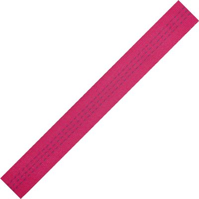 BlueWater Ropes 1" Tubular Climb-Spec Nylon Webbing (Raspberry, 300')