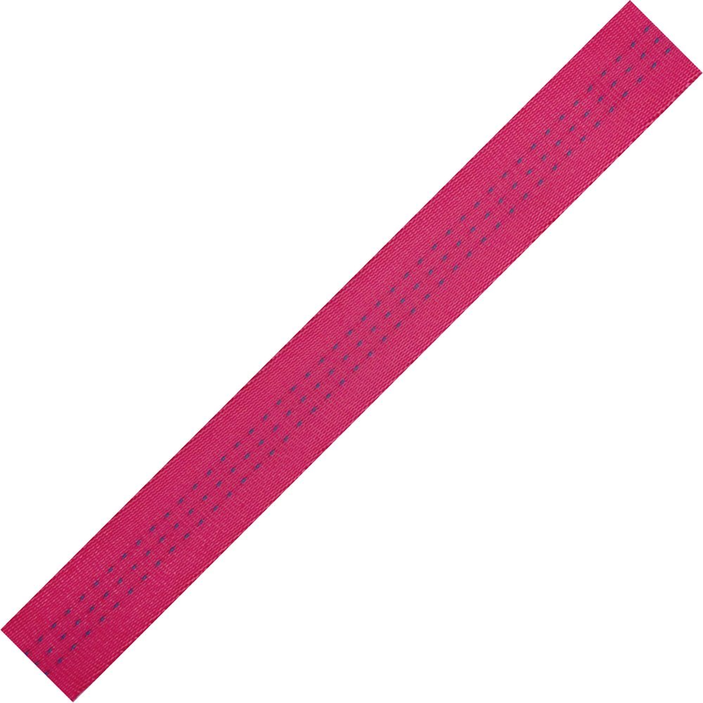 BlueWater Ropes 1" Tubular Climb-Spec Nylon Webbing (Raspberry, 300')