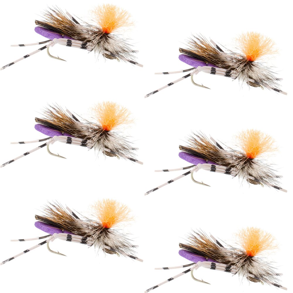 The Fly Fishing Place Feth Hopper Purple Foam Body High Visibility Grasshopper Dry Fly - 6 Flies - Hook Size 10
