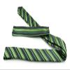 Moda Di Raza Men's Slanted Shadow Stripe Ties Modern Imported Fashion Neckties-Green view 2