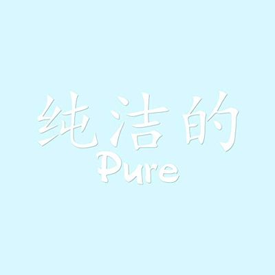 Chinese Symbols "Pure" Vinyl Decal Sticker - 12" x 5.5" - White