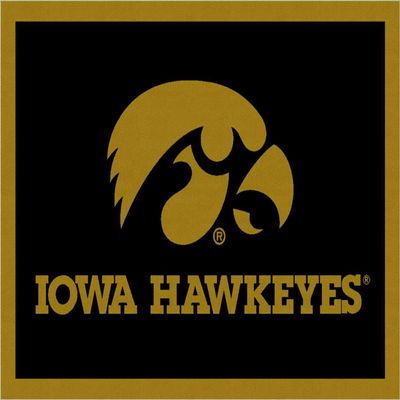 Iowa Hawkeyes NCAA College Team Spirit Team Area Rug 7'8"x10'9"