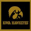 Iowa Hawkeyes NCAA College Team Spirit Team Area Rug 7'8"x10'9" view 1