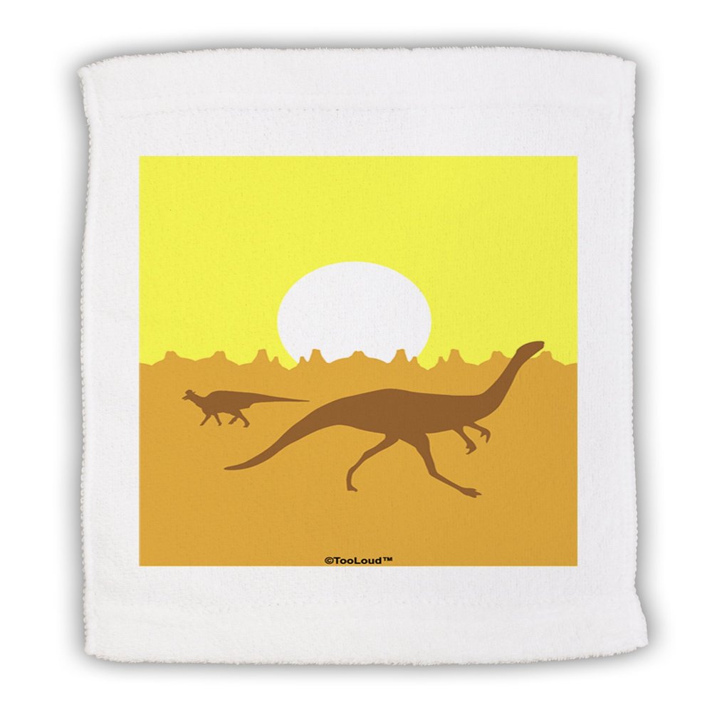 TOOLOUD Jurassic Dinosaur Sunrise Micro Terry Sport Towel 11" x 18"