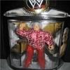 WWE Jakks Pacific Wrestling Classic Superstars Series 8 Action Figure Classie Freddie Blassie view 1