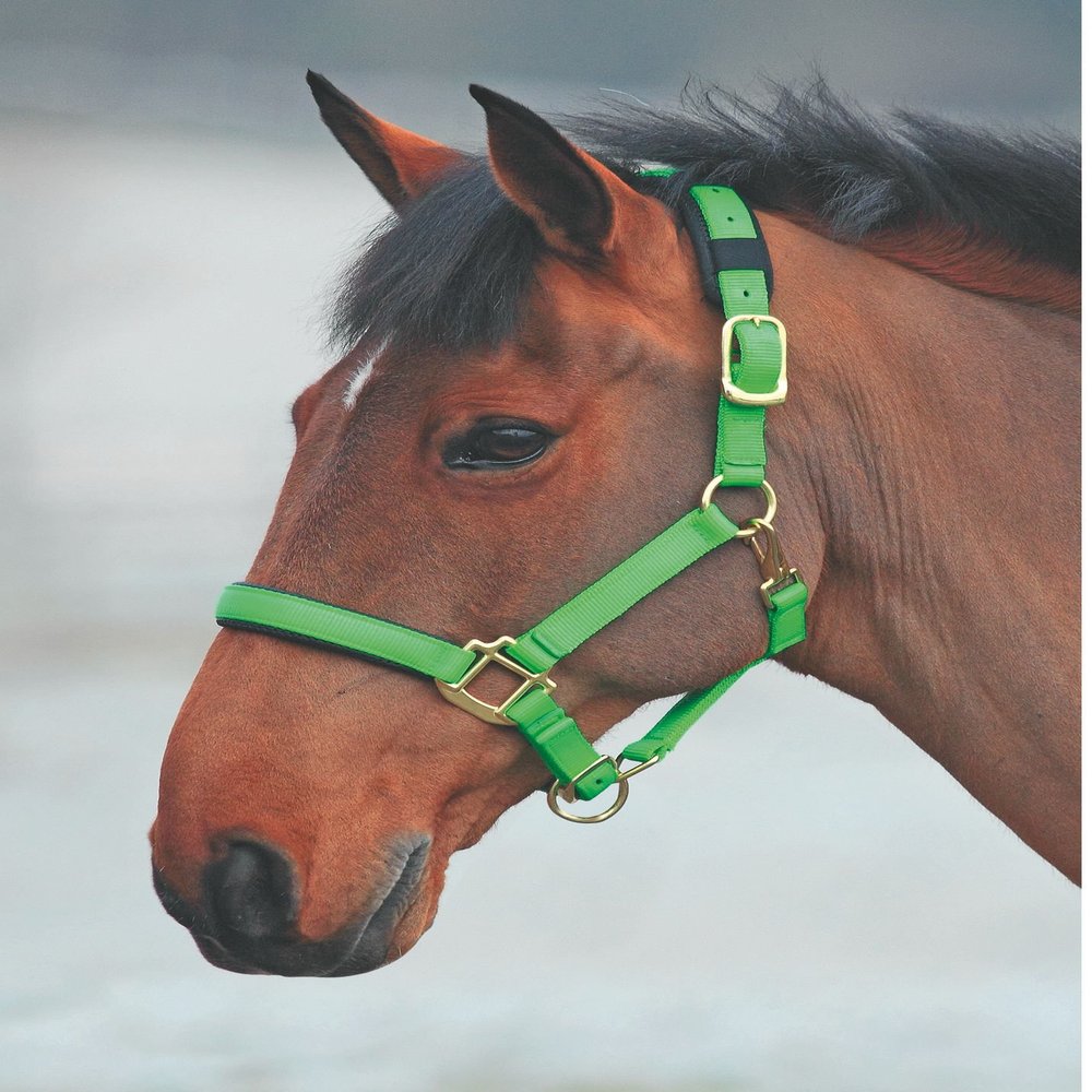 Shires Topaz Nylon Halter with BREAEKAWAY (Green, Full)