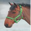 Shires Topaz Nylon Halter with BREAEKAWAY (Green, Full) view 1