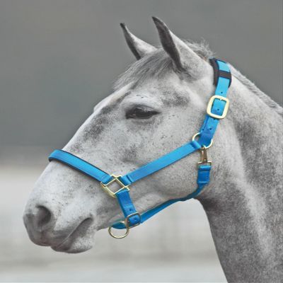 Shires Topaz Nylon Halter with BREAEKAWAY (Blue, Pony)