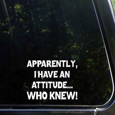 Sign Depot Apparently, I Have an Attitude...Who Knew! - 6" x 4" - Vinyl Die Cut Decal/Bumper Sticker for Windows, Cars, Trucks, Laptops, Etc.