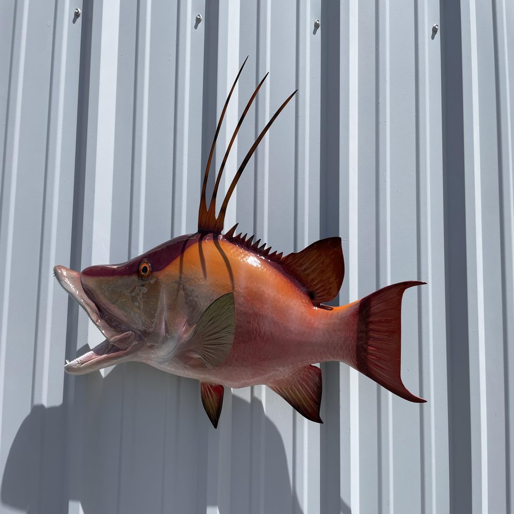 32" Hog Snapper Two Sided Wall Mount Fish Replica Trophy, Fishing Wall & Coastal Decor