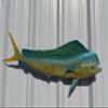 Bull Dolphin Wall Mount  36 Inch Full Mount Fish Replica for Fishing & Coastal Wall Decor aka Mahi Mahi and Dorado view 1