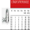 Nautos D Straight Shackle with Screw PIN with Eye - 316 AISI Stainless Steel - Forged (106-12mm - 1/2") view 3