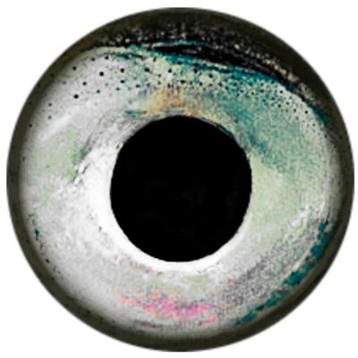 Brule 3-D Hard Epoxy Eyes (Sleet, 12.7mm)