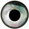 Brule 3-D Hard Epoxy Eyes (Sleet, 12.7mm) view 1