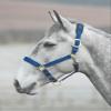 Shires Topaz Nylon Halter with BREAEKAWAY (Navy, Small Pony) view 1