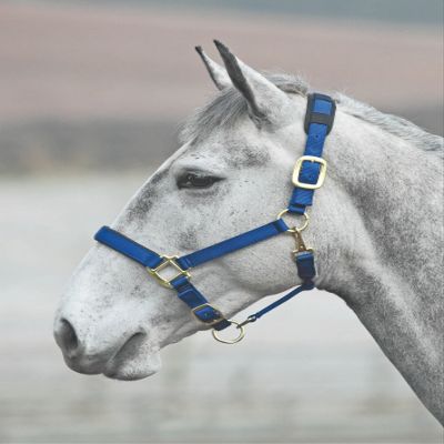 Shires Topaz Nylon Halter with BREAEKAWAY (Navy, X-Small Pony)
