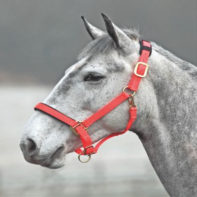 Shires Topaz Nylon Halter with BREAEKAWAY (Orange, X-Small Pony)
