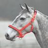 Shires Topaz Nylon Halter with BREAEKAWAY (Orange, X-Small Pony) view 1