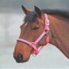 Shires Topaz Nylon Halter with BREAEKAWAY (Pink, Small Pony) view 1